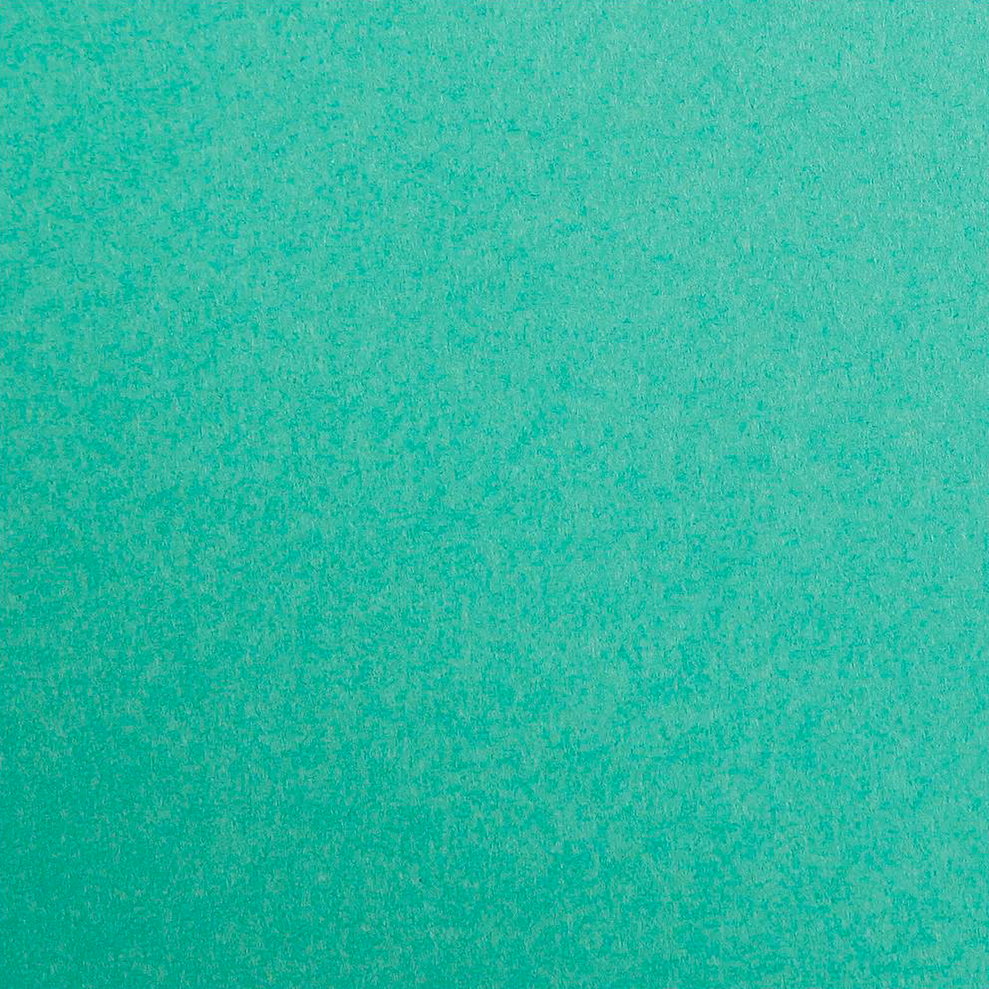 Carton Maya 185g vert sapin 25 feuilles 50 x 70 cm