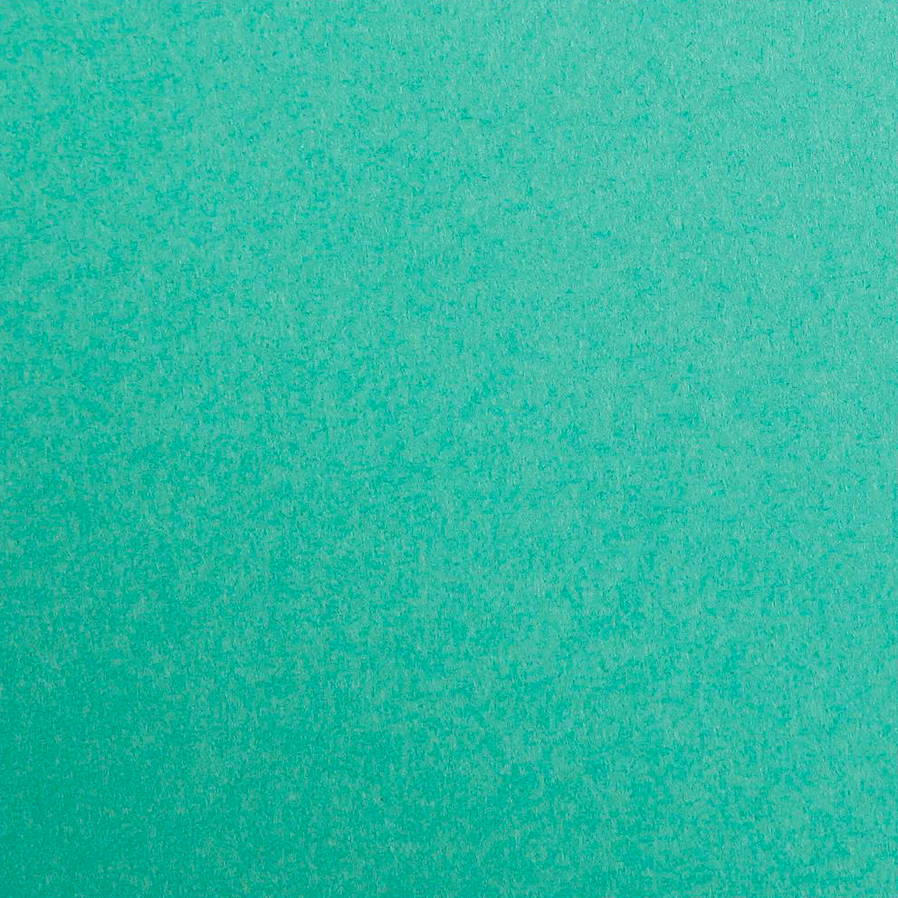 Maya Cardboard 185gr Pine Green 25 sheets 19.7 x 27.6in