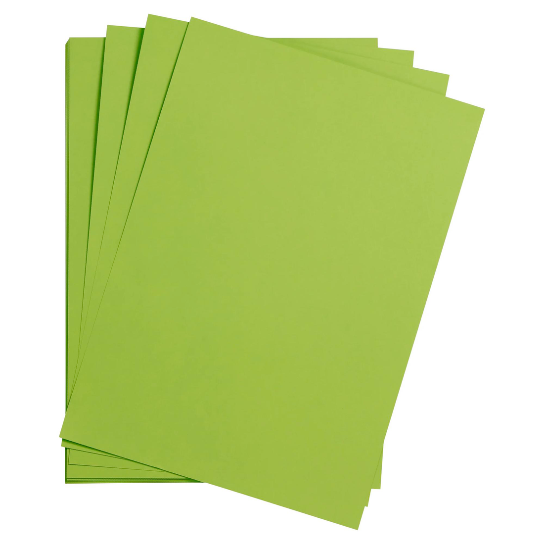 Maya Cardboard 185gr Mossy Green 25 sheets 19.7 x 27.6in