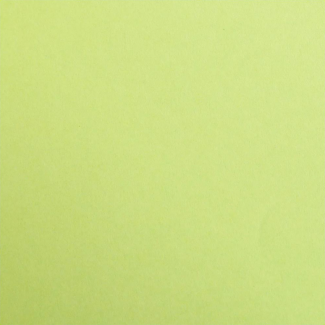 Carton Maya 185G vert mousse 25 feuilles (50 x 70 cm) by CLAIREFONTAINE