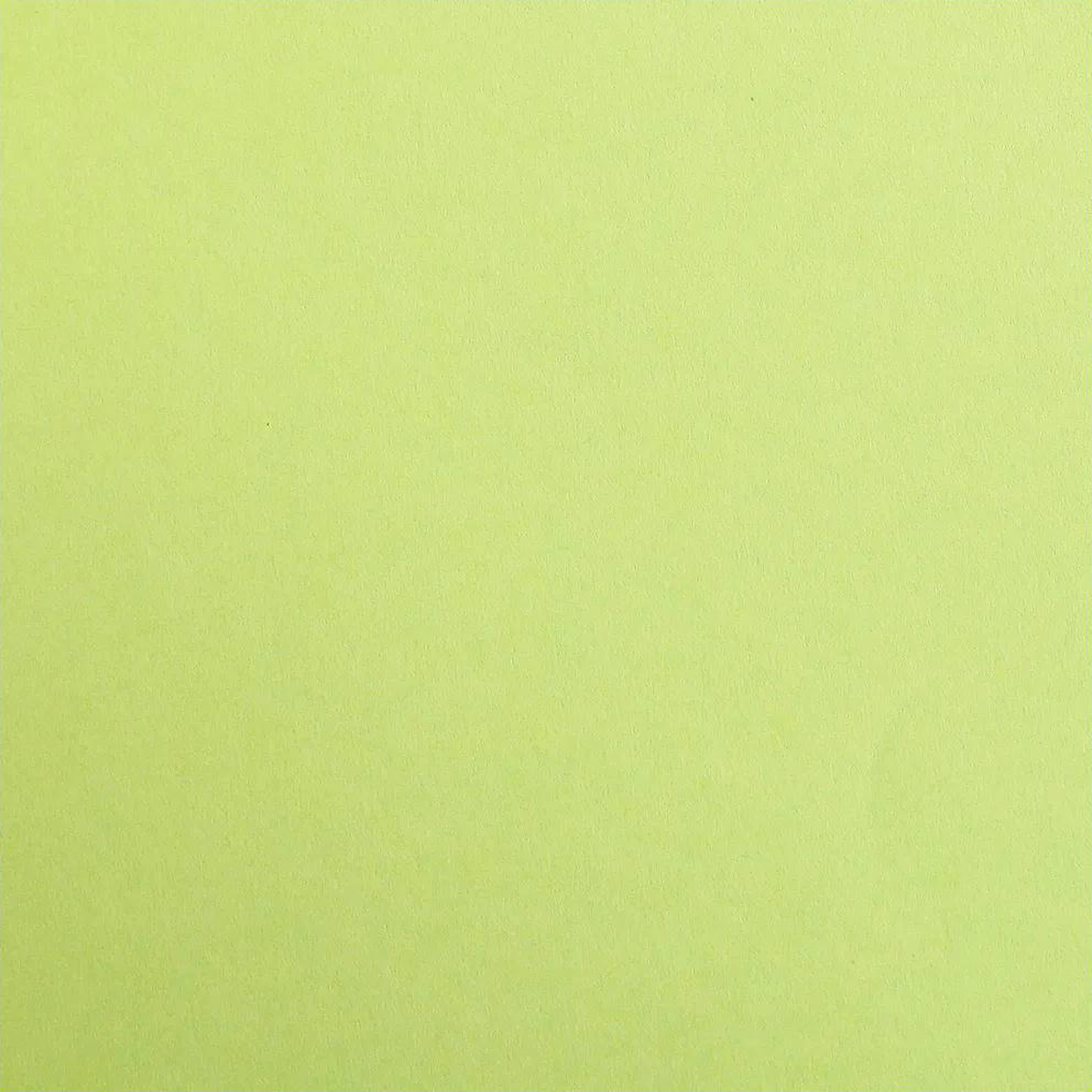 Maya Cardboard 185gr Mossy Green 25 sheets 19.7 x 27.6in