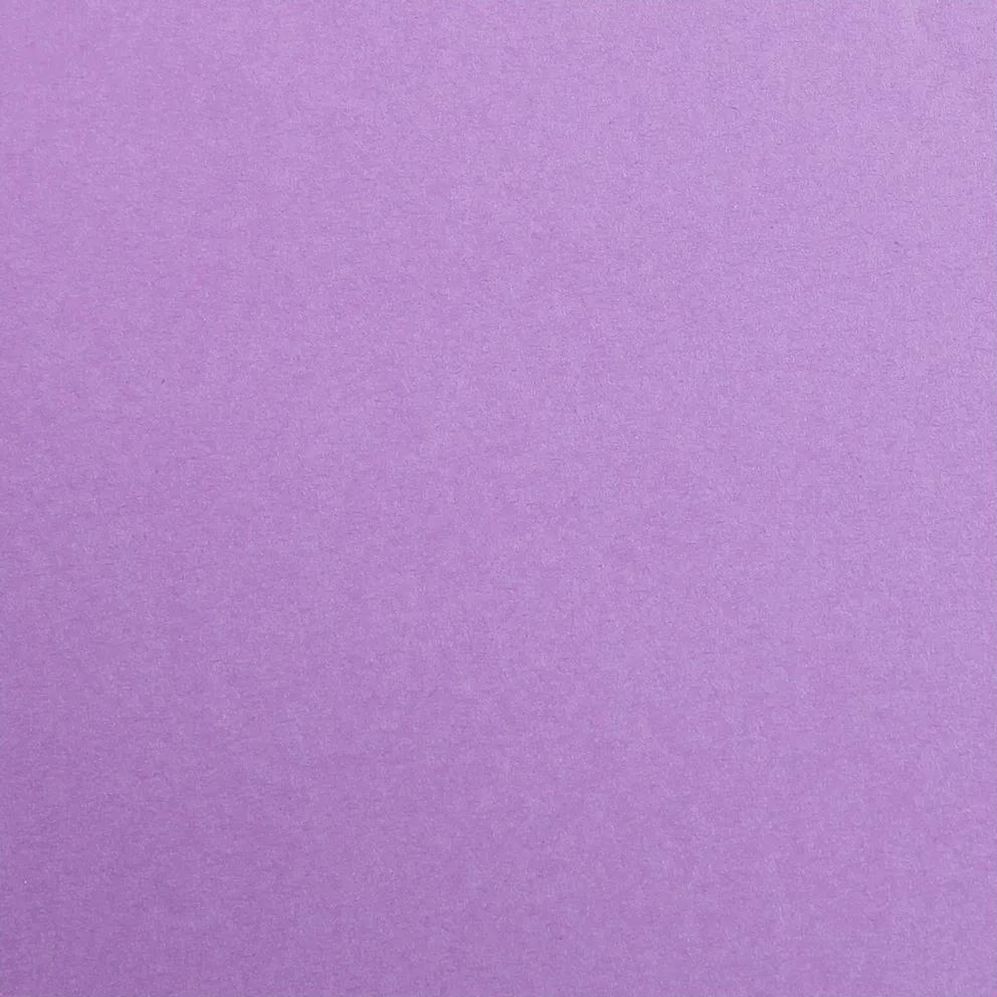 Carton Maya 185G violet 25 feuilles (50 x 70 cm) by CLAIREFONTAINE