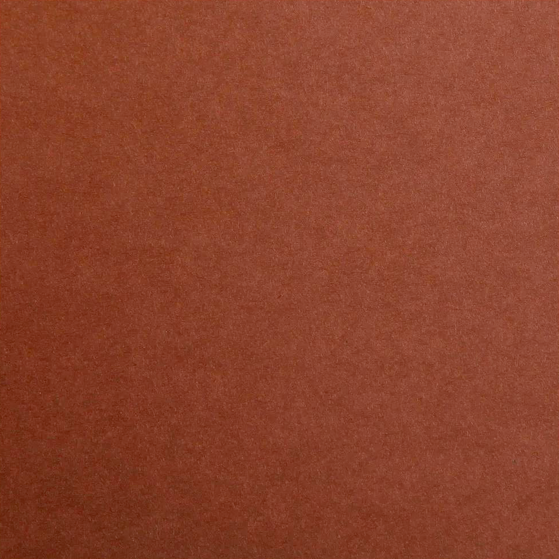 Carton Maya 185G marron 25 feuilles (50 x 70 cm) by CLAIREFONTAINE