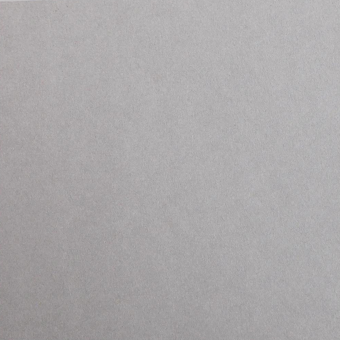 Carton Maya 185G gris acier 25 feuilles (50 x 70 cm) by CLAIREFONTAINE