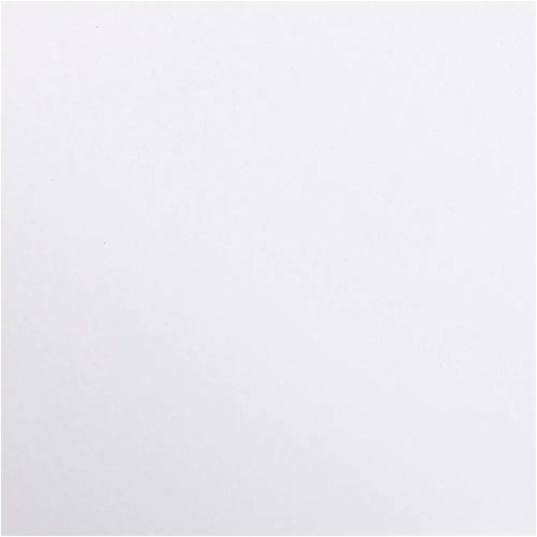 Carton Maya 185G blanc 25 feuilles (50 x 70 cm) by CLAIREFONTAINE