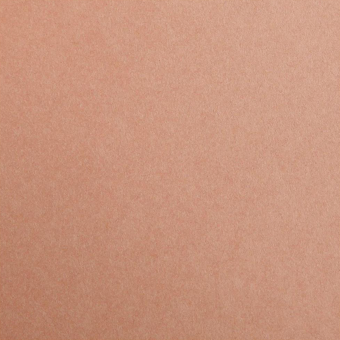 Carton Maya 185G brun 25 feuilles (50 x 70 cm) by CLAIREFONTAINE