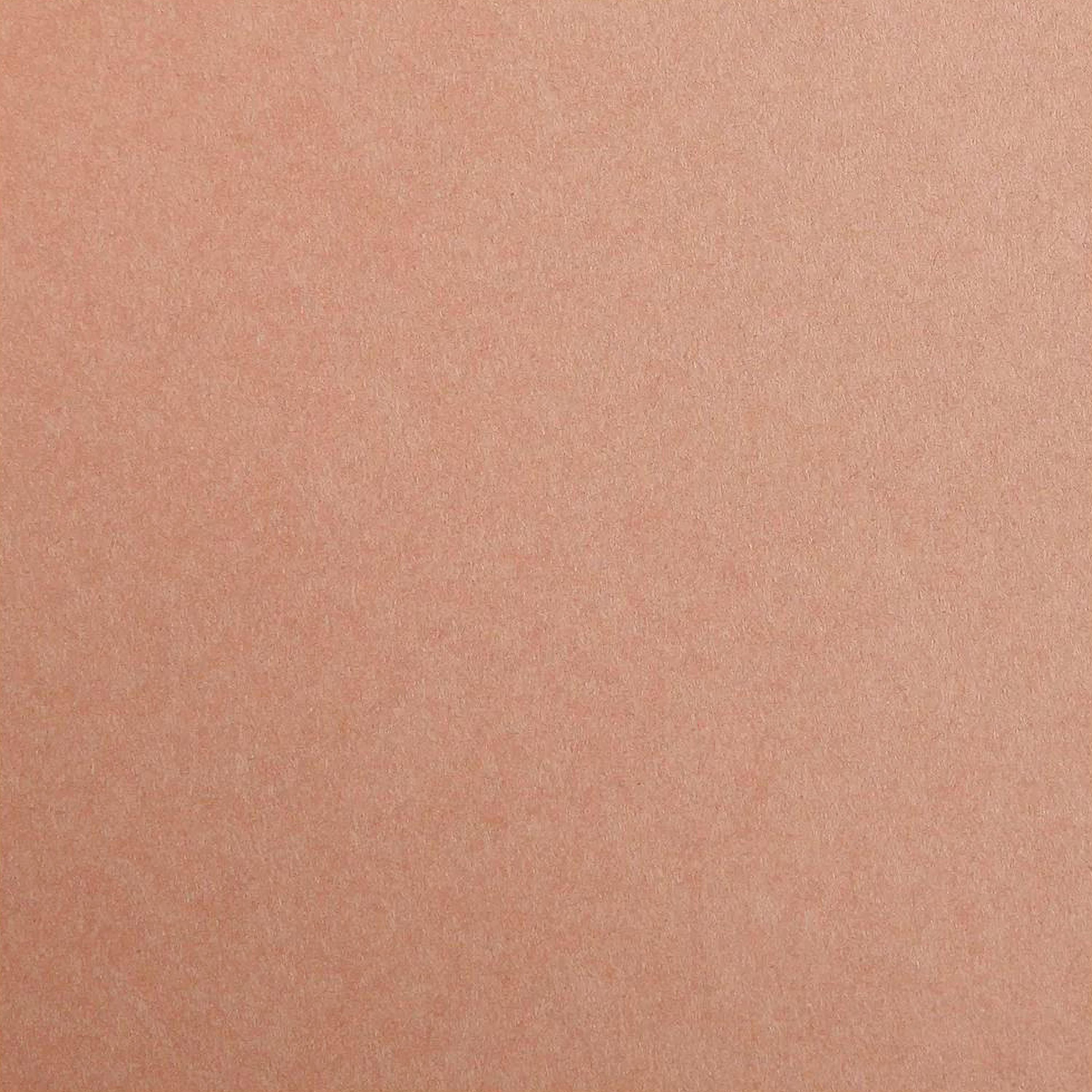 Maya Cardboard 185gr  Brown 25 sheets 19.7 x 27.6in