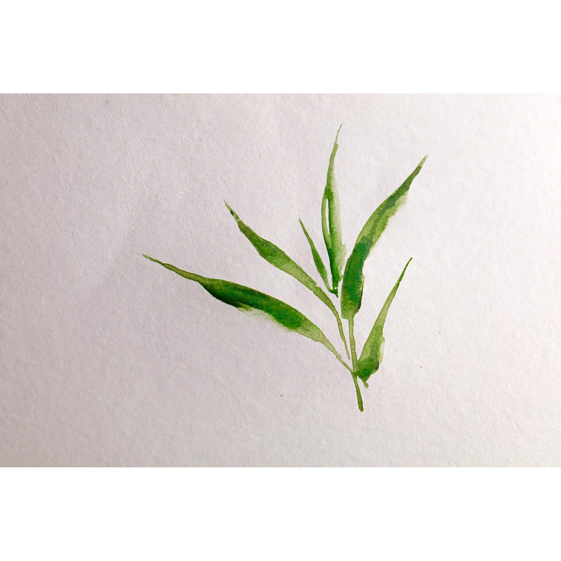 Glued pad  20 sheets Bamboo 250g 10,5x21cm L