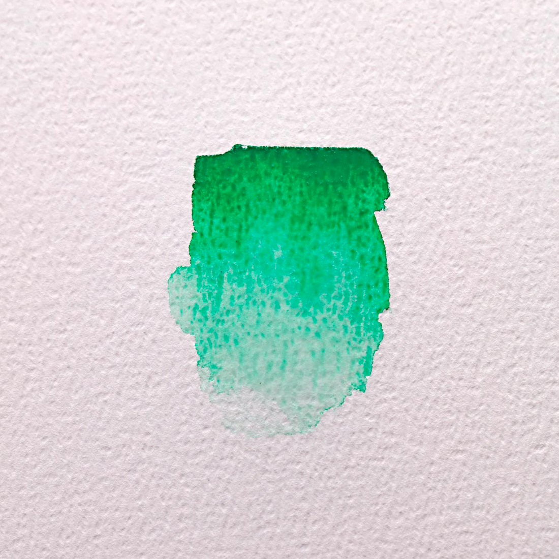 Bloc Aquarelle Paquet 4 bords frangés Fontaine extra blanc grain torchon 300G 5 feuilles (56 x 76 cm) by CLAIREFONTAINE