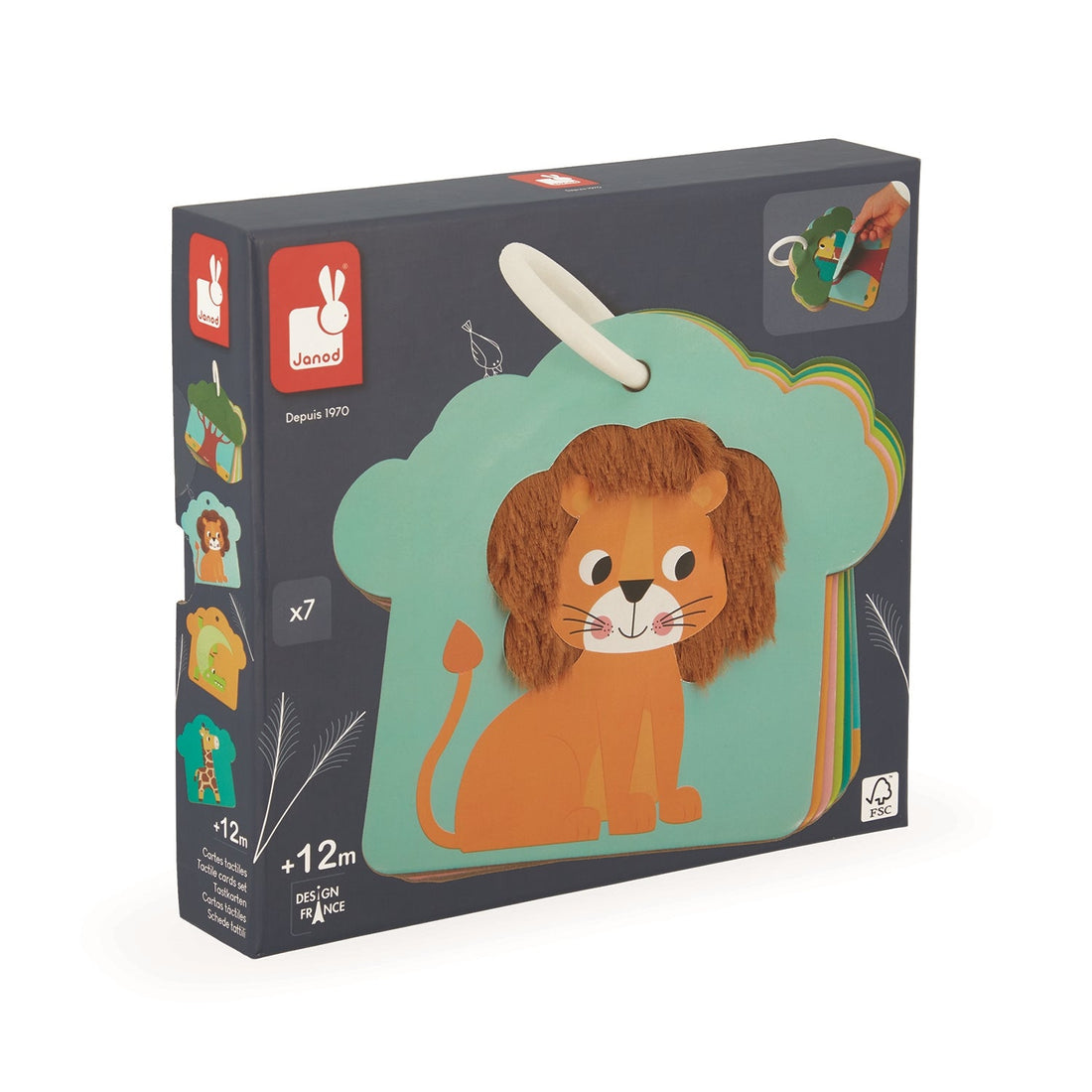 CARTES TACTILES - SAVANE JANOD
