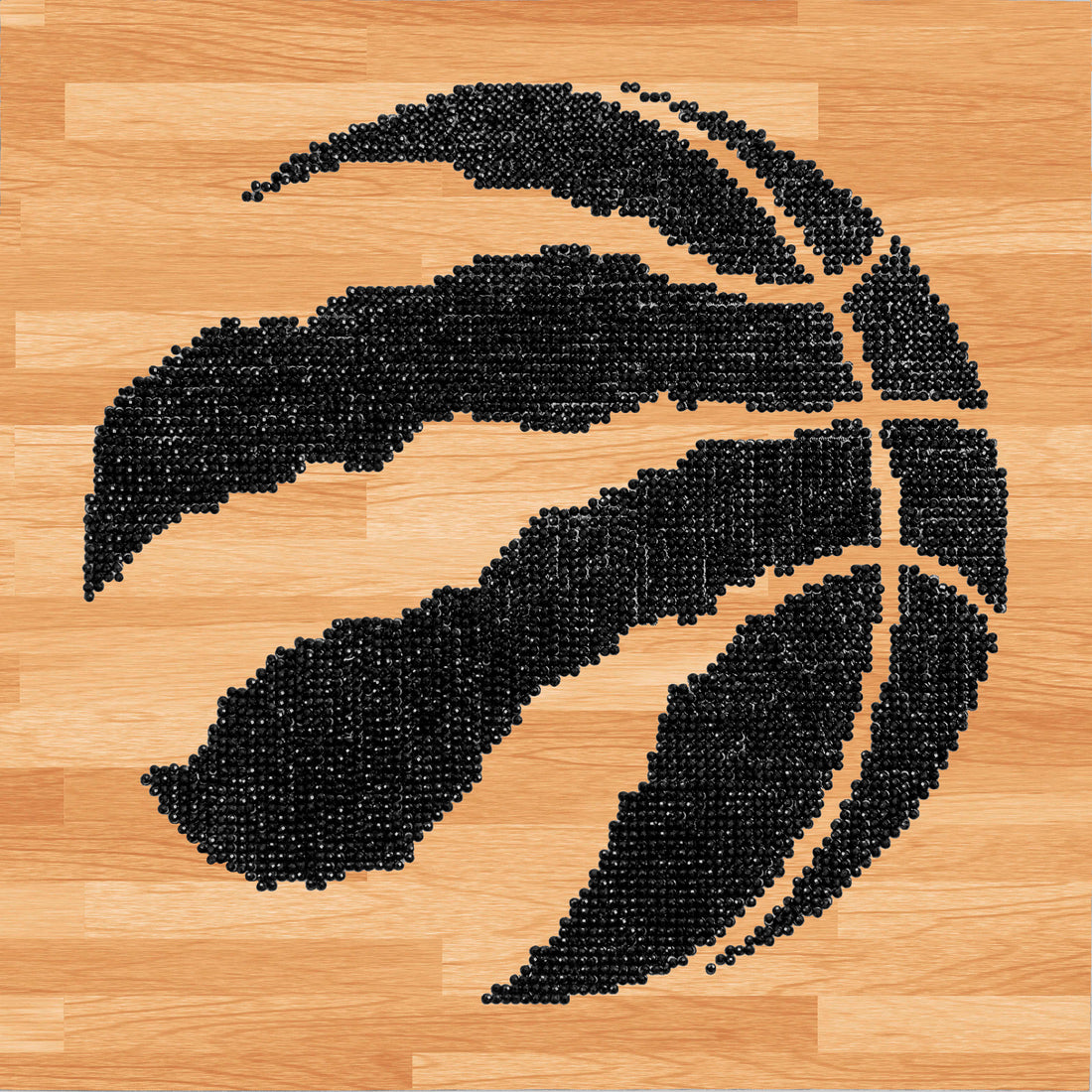 NBA Toronto Raptors