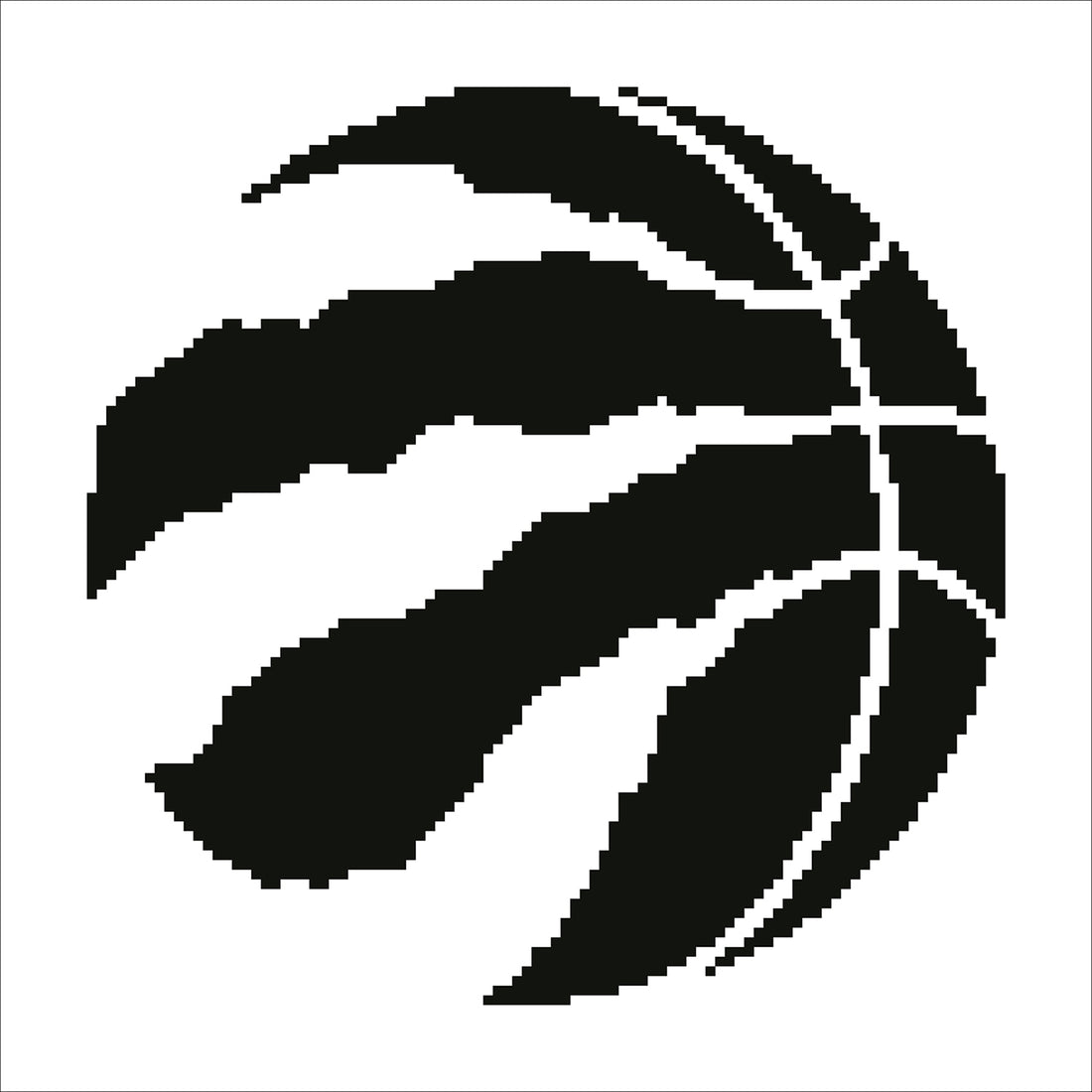 NBA Toronto Raptors
