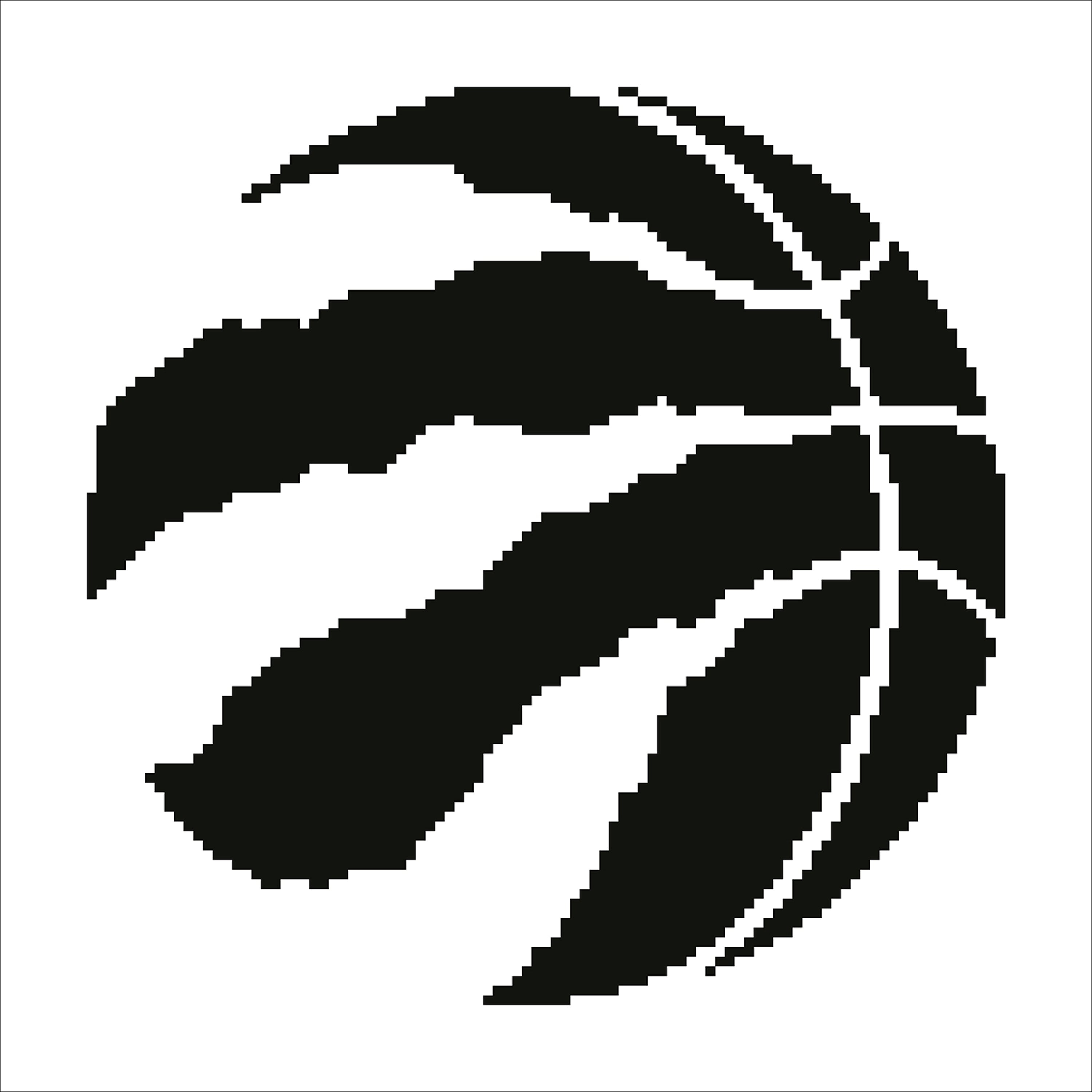 NBA Toronto Raptors