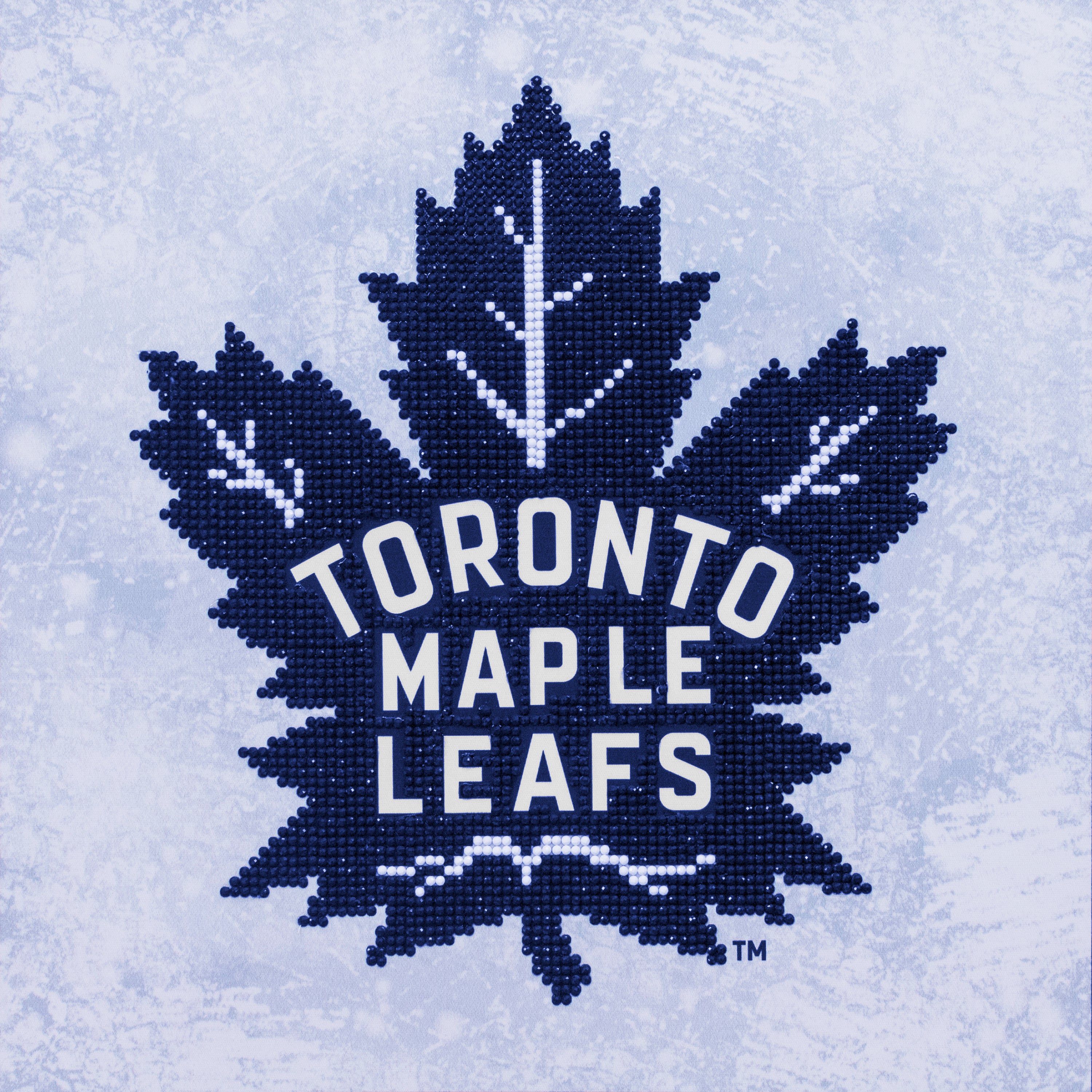 NHL TORONTO MAPLE LEAFS