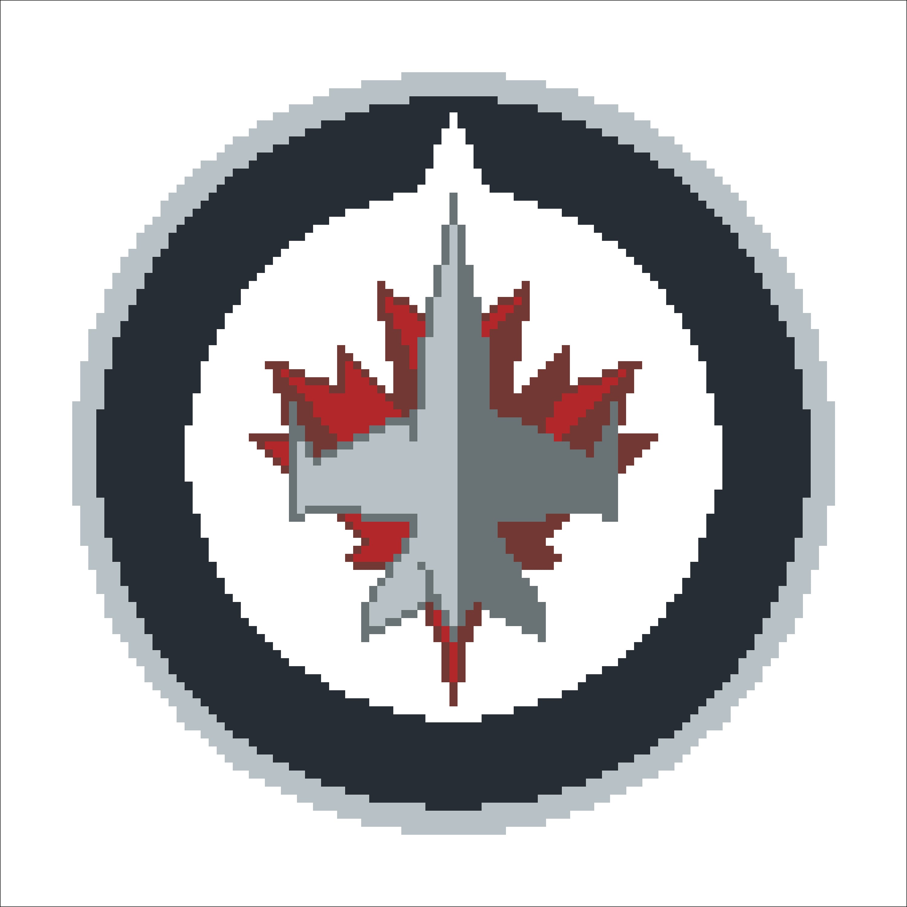 NHL WINNIPEG JETS