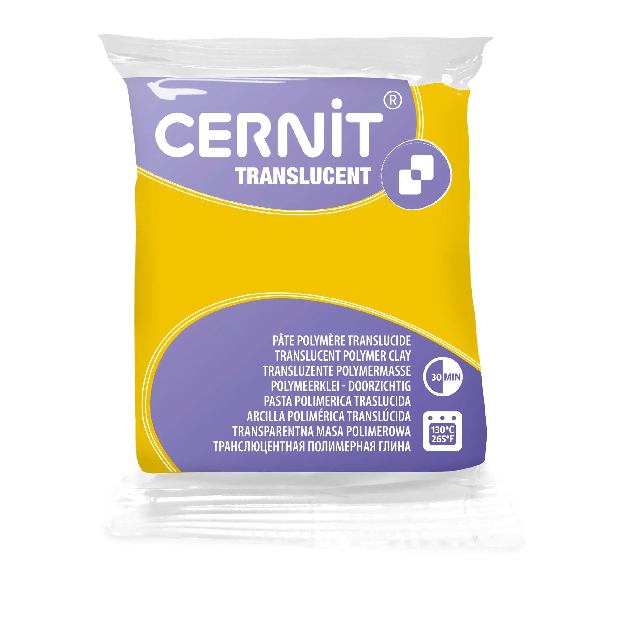 CERNIT CEKIT002C - Kit starter mini plantes - Modelage DIY CERNIT CEKIT002C - Kit starter mini plantes - Modelage DIY