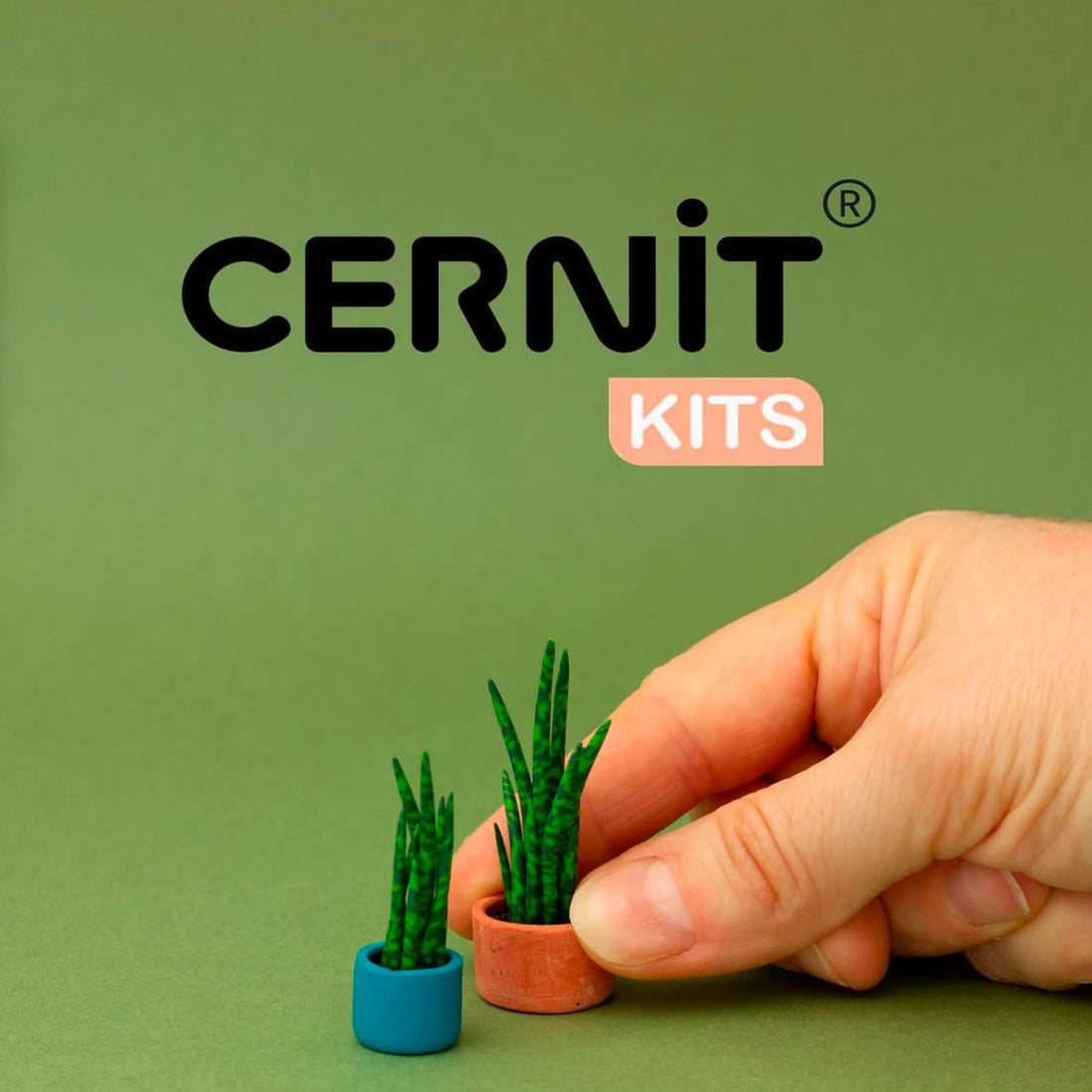 Kit d'iniation à la pâte polymère mini plantes