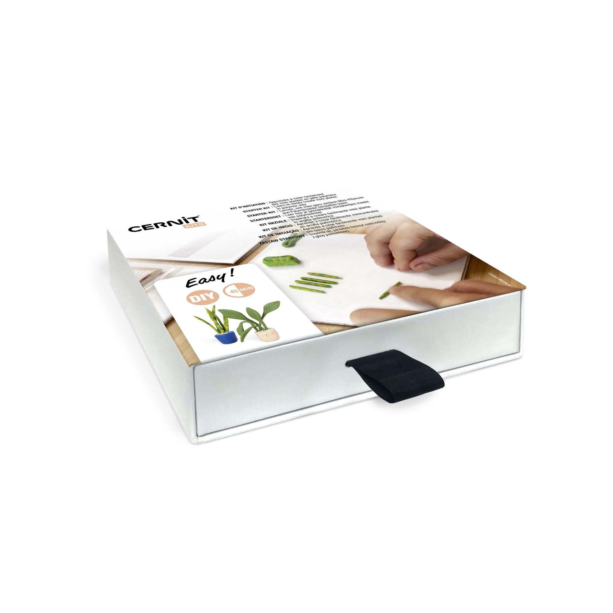 Kit d'iniation à la pâte polymère mini plantes CERNIT