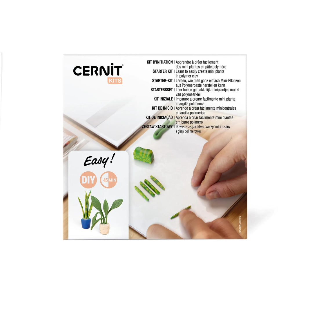 Kit d'iniation à la pâte polymère mini plantes CERNIT