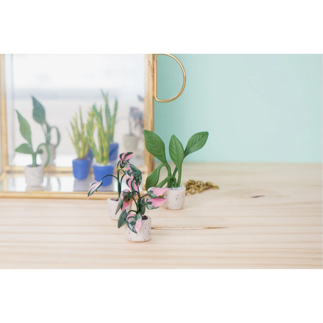 Kit d'iniation à la pâte polymère mini plantes CERNIT