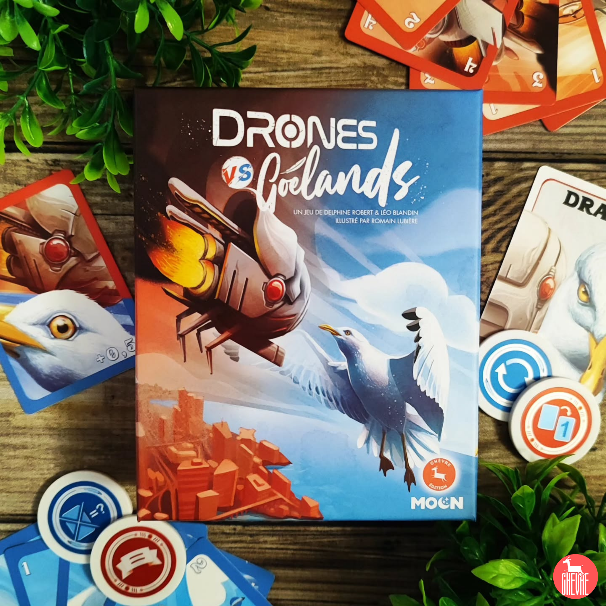 DRONES VS GOÉLANDS (FR) MADistribution