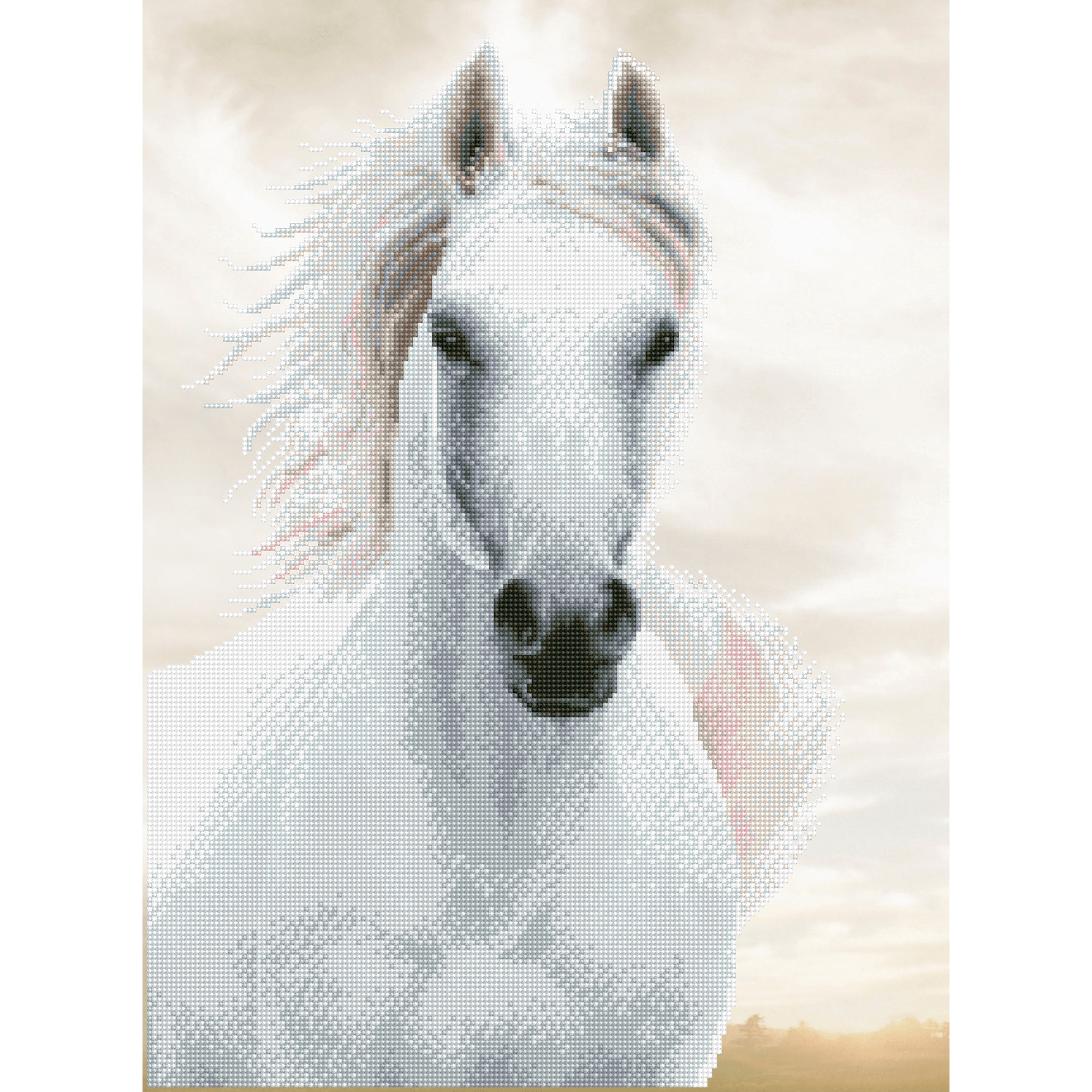Étalon Impérial 56x73 DIAMOND DOTZ