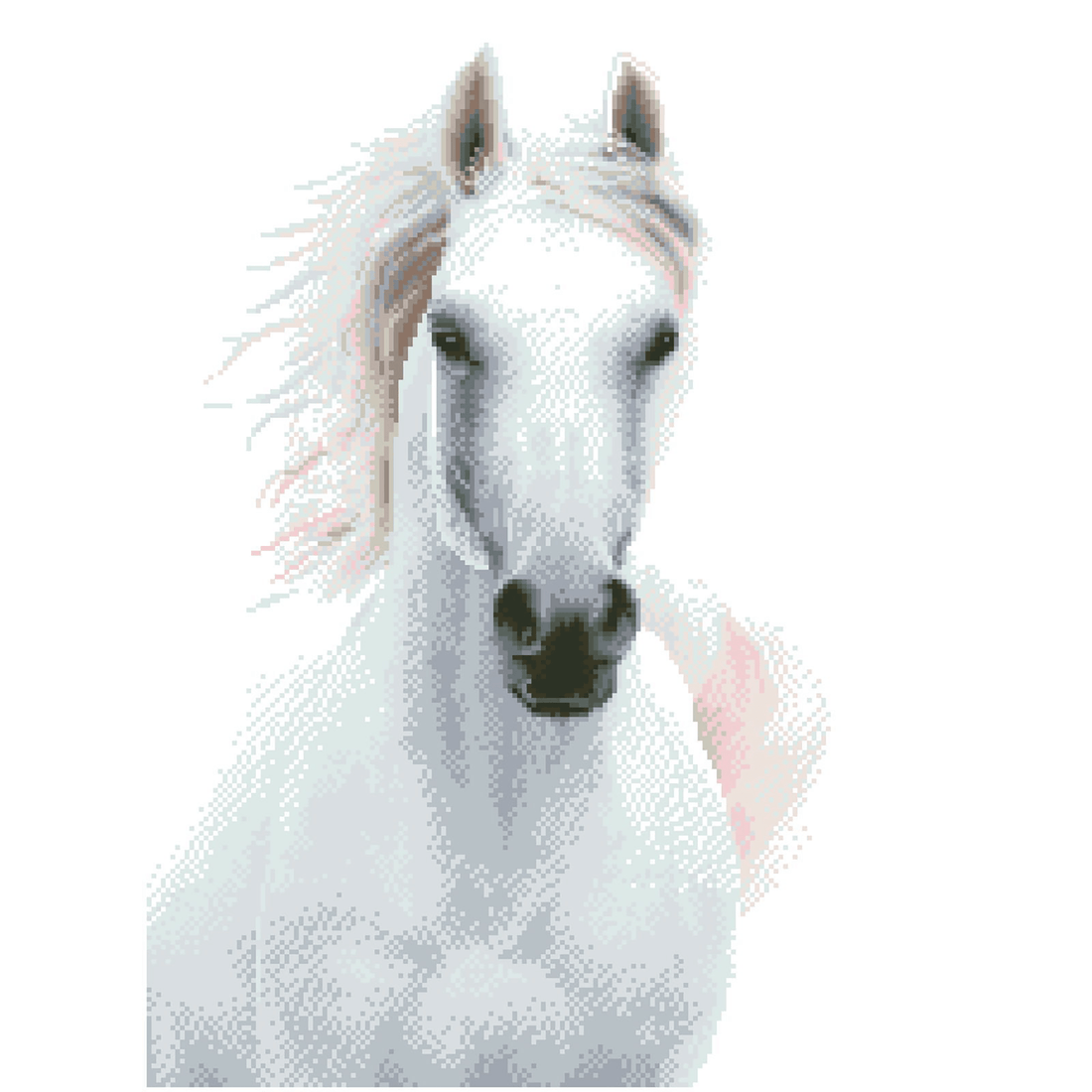 Étalon Impérial 56x73 DIAMOND DOTZ