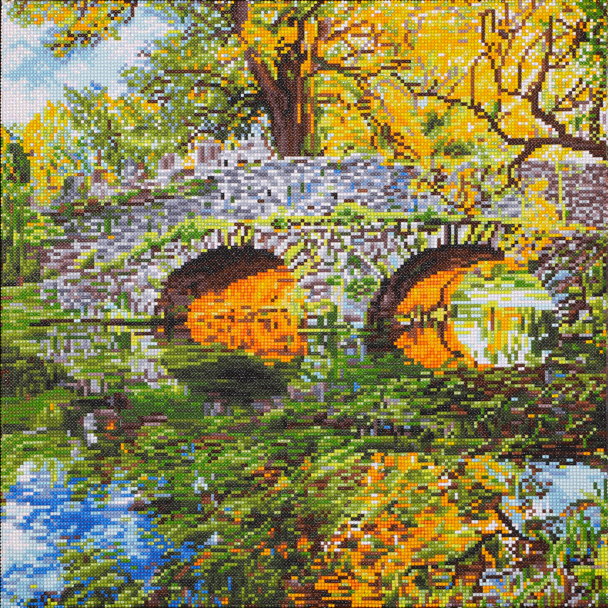 Pont de campagne 59,5X59,5 DIAMOND DOTZ