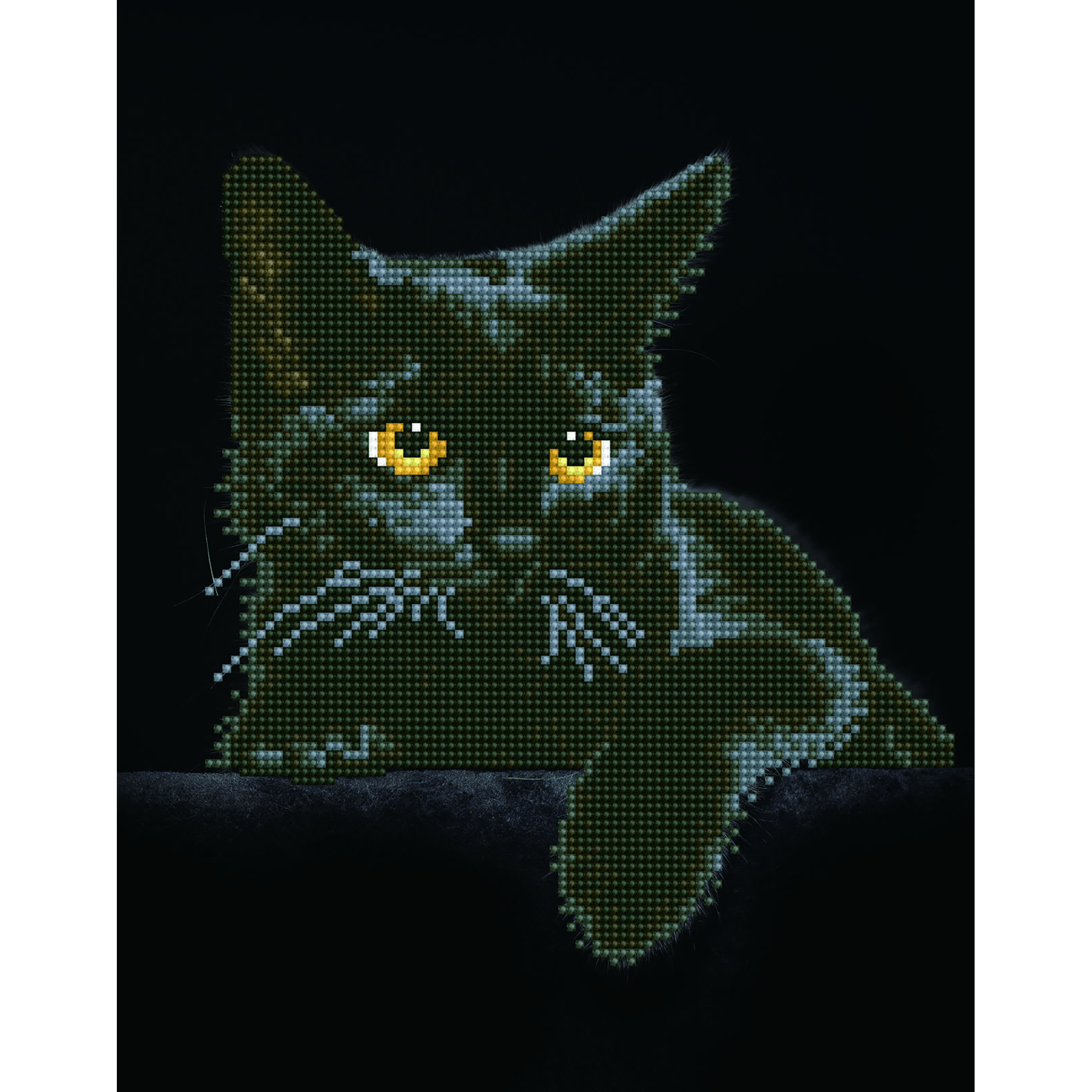 CHAT DE MINUIT (14" x 11" - 35,5cm x 27,9cm) DIAMOND DOTZ