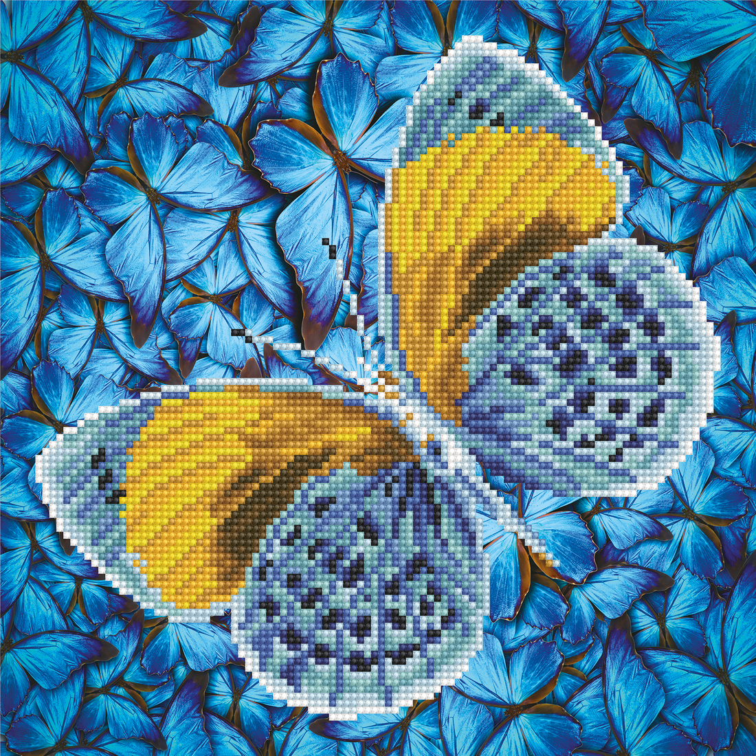 Flutter par or 38X38 DIAMOND DOTZ