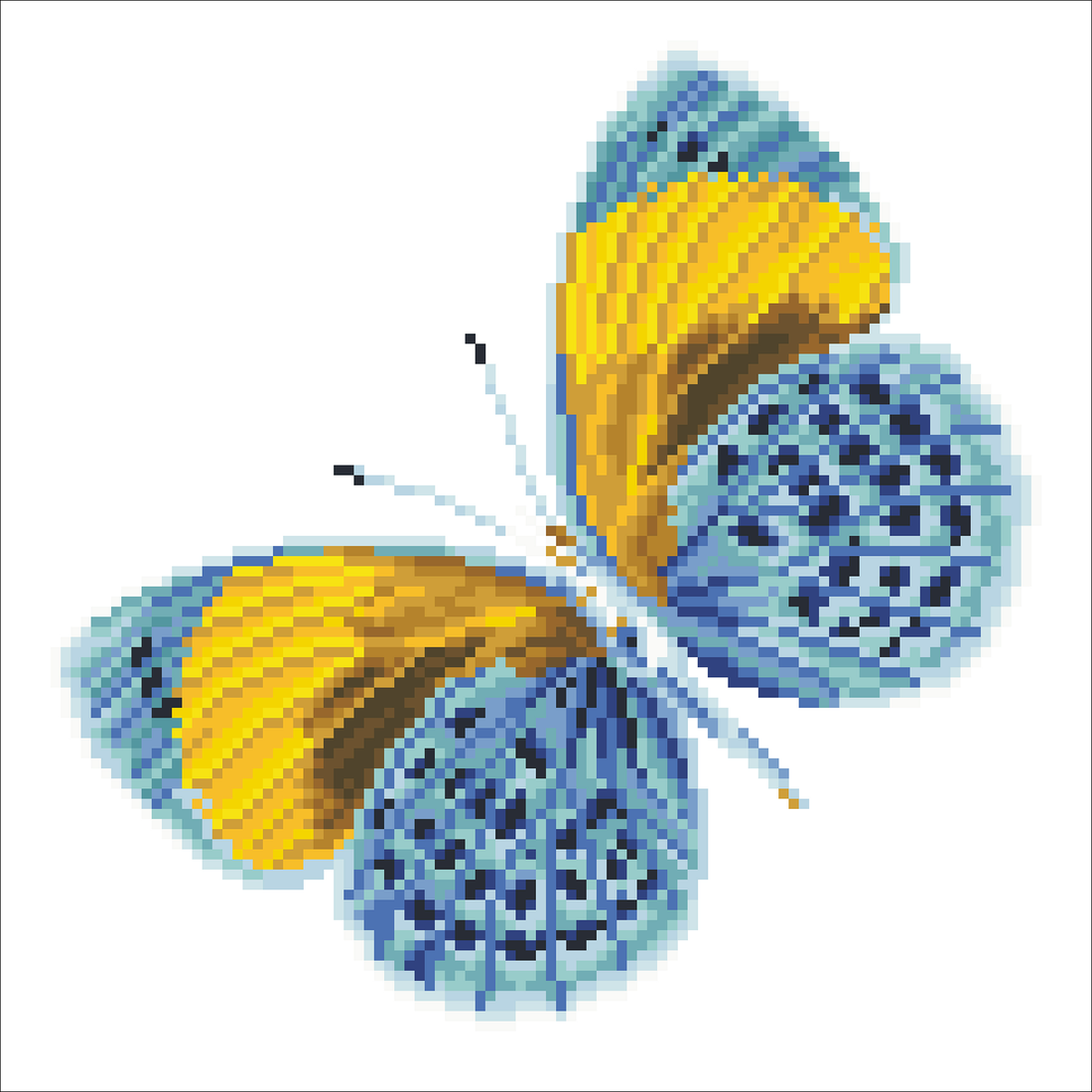 Flutter par or 38X38 DIAMOND DOTZ