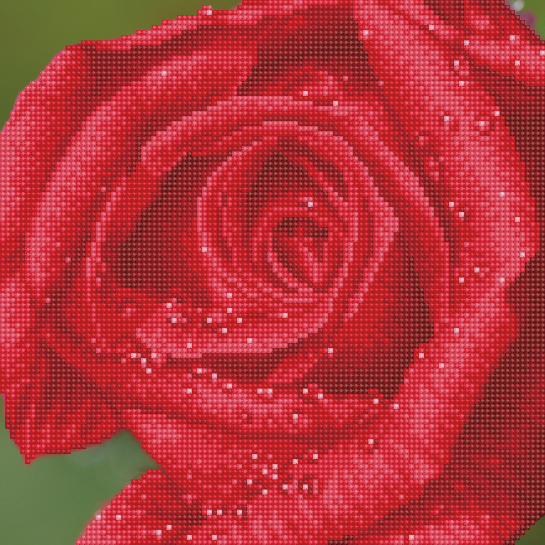 Rosée Rose 38,5X38,5 DIAMOND DOTZ