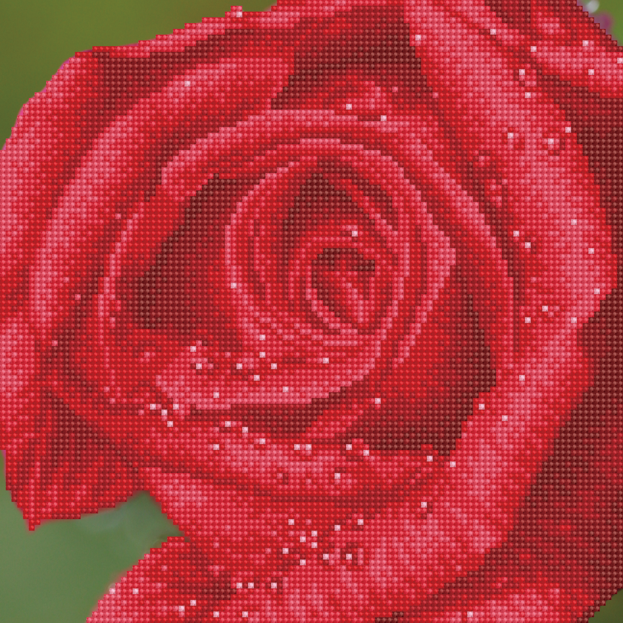 Rosée Rose 38,5X38,5 DIAMOND DOTZ