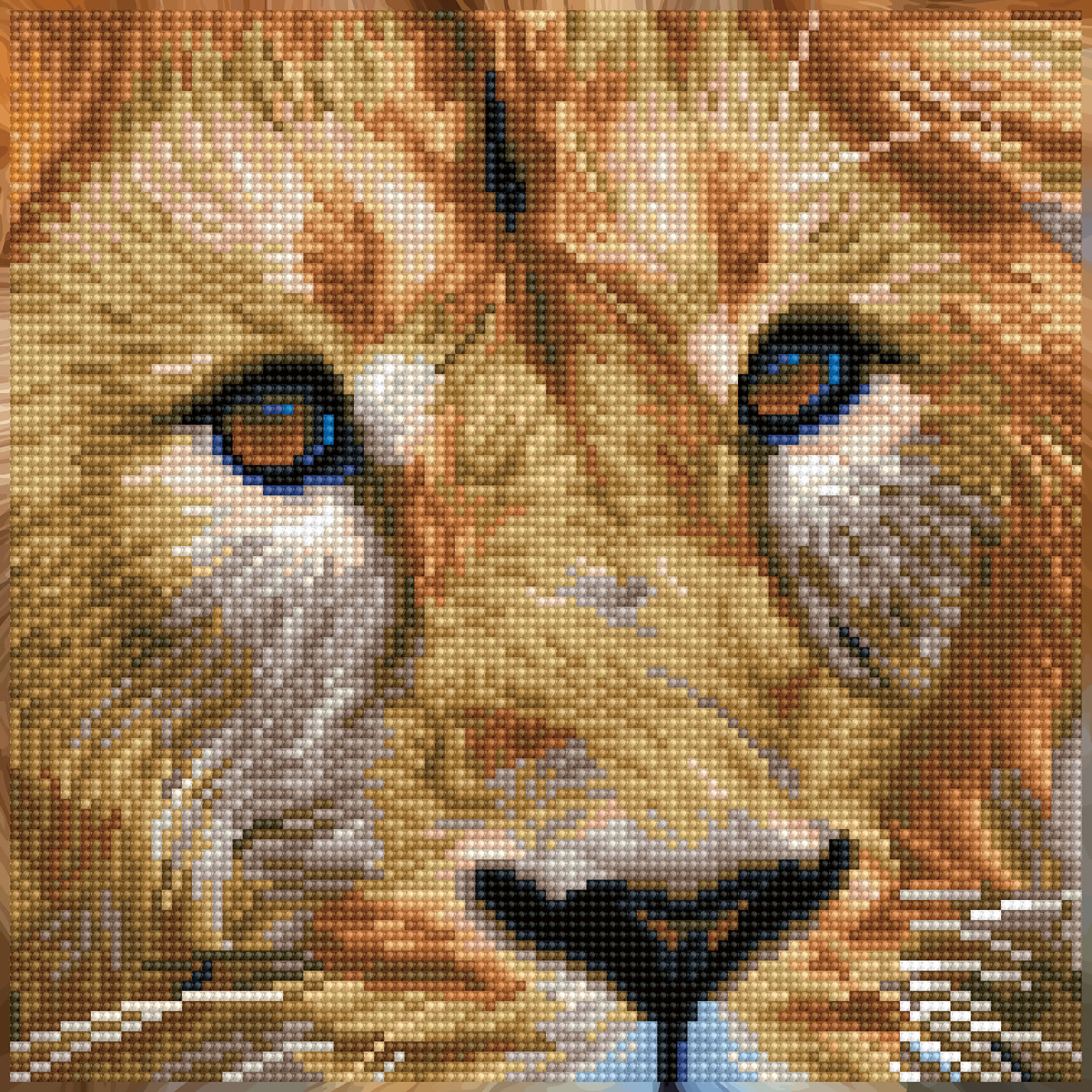 Serengeti Magic 38X38 DIAMOND DOTZ