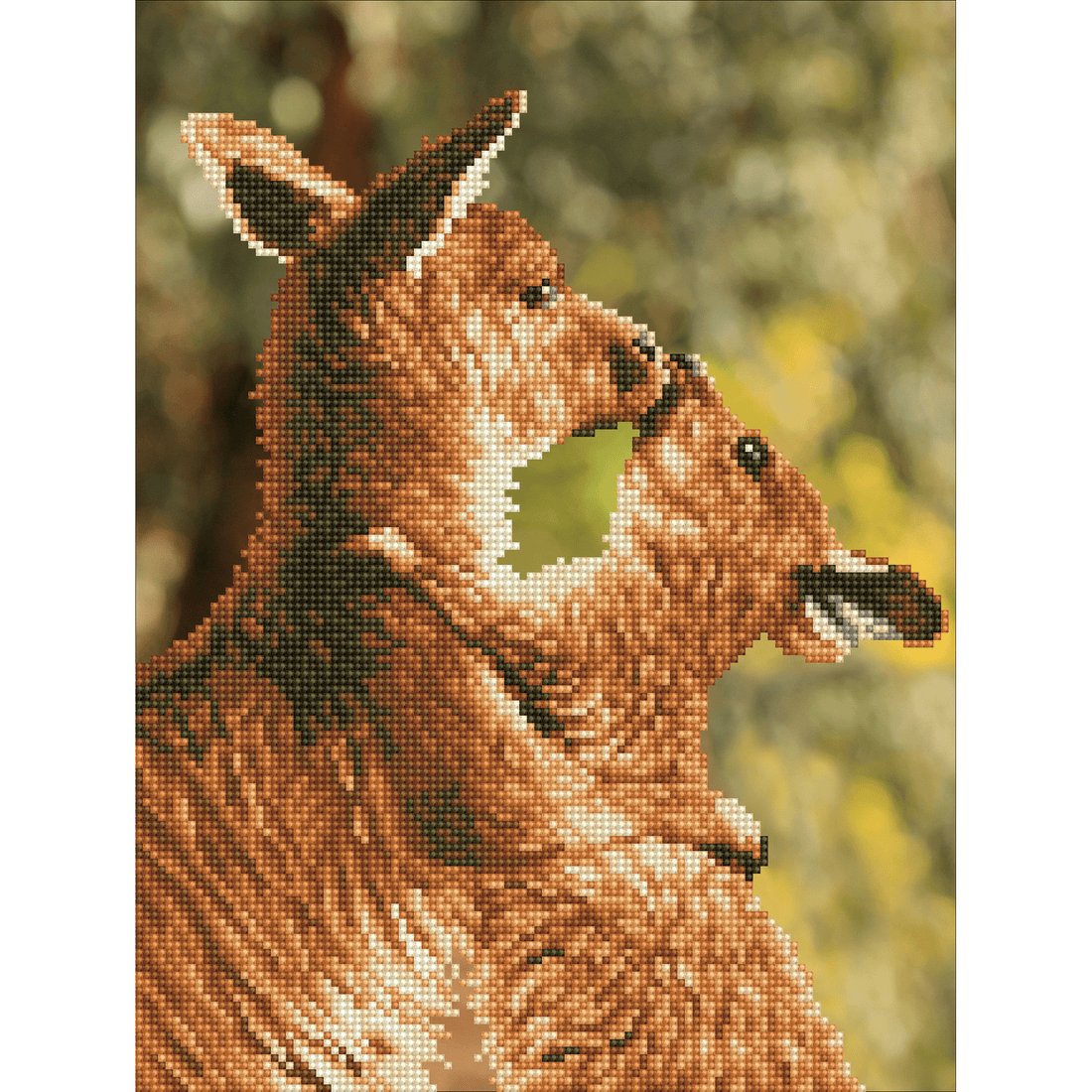 Embrasser des Kangas 39X49 DIAMOND DOTZ