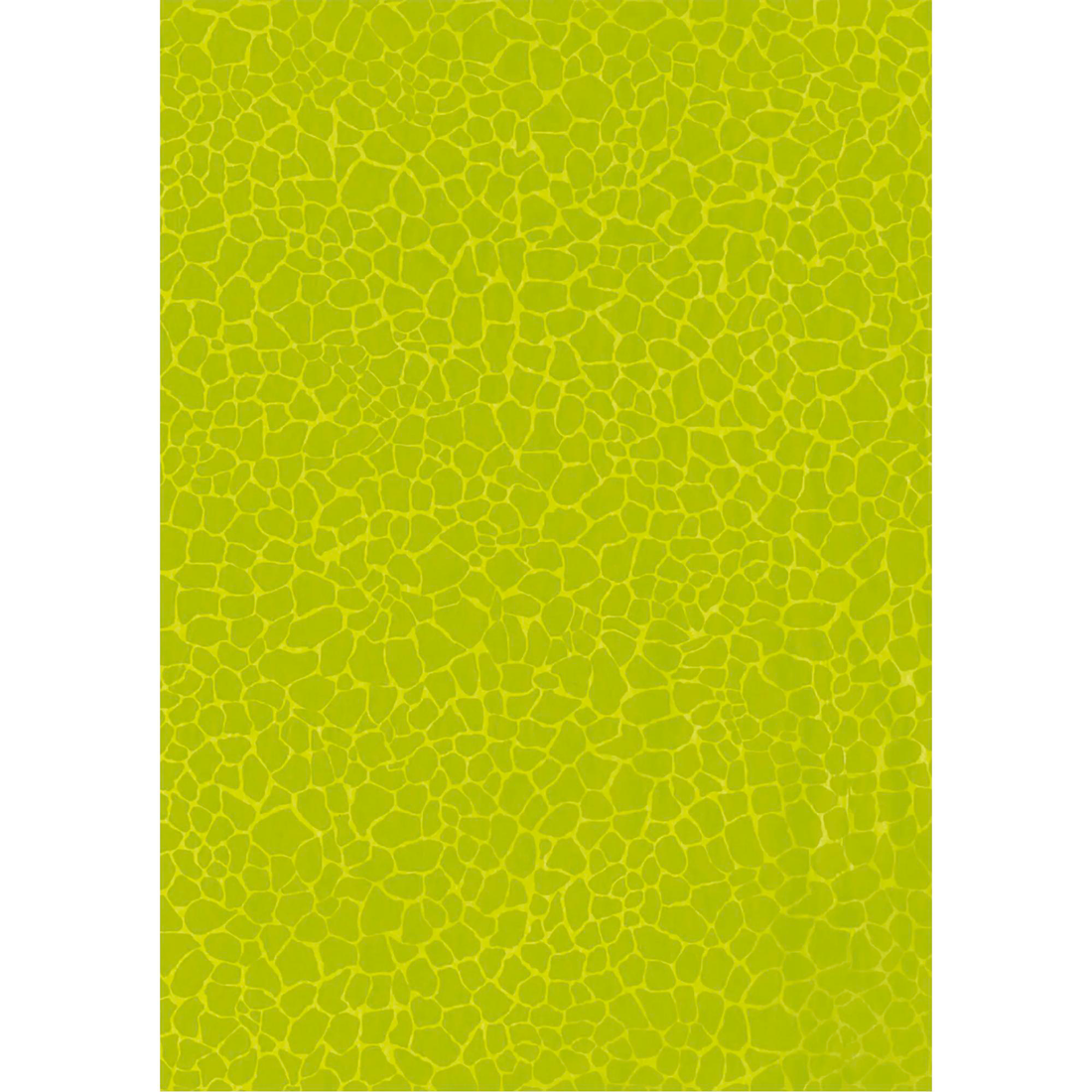 MIX & PATCH - ROYAL BOTANIC GARDEN