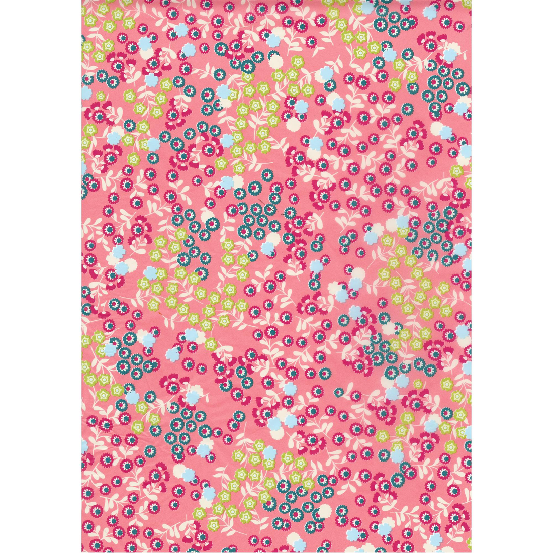 MIX & PATCH - ROYAL BOTANIC GARDEN
