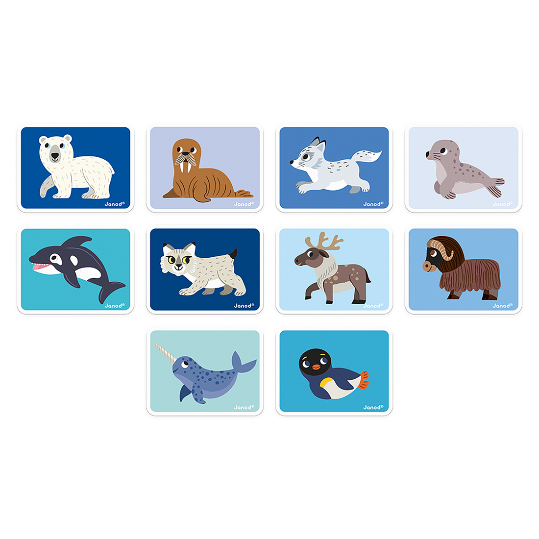 MAGNÉTI'BOOK - ANIMAUX POLAIRES JANOD
