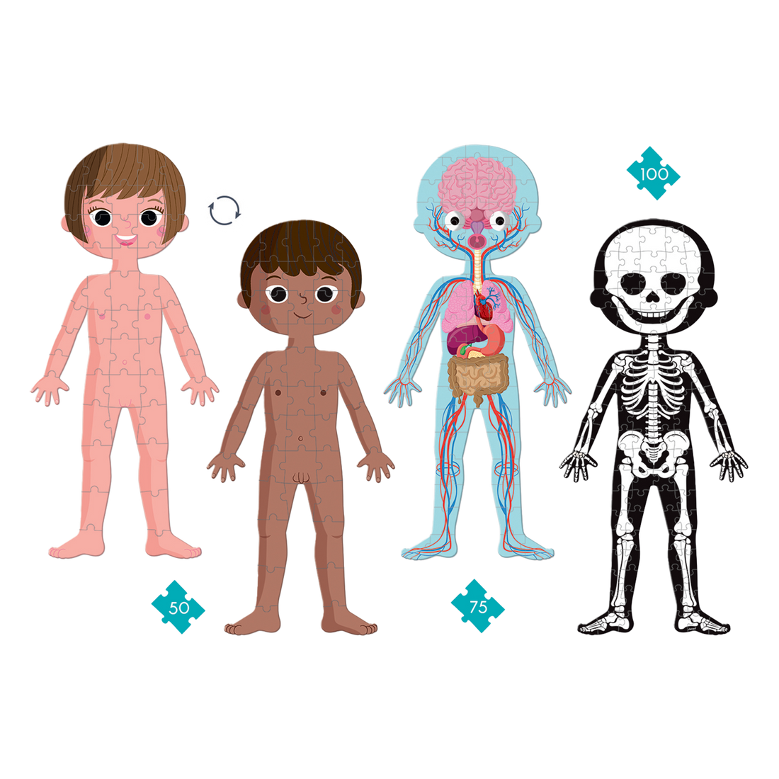 4 EN 1 CASSE-TÊTE ÉDUCATIONNEL - CORPS HUMAIN JANOD PUZZLES