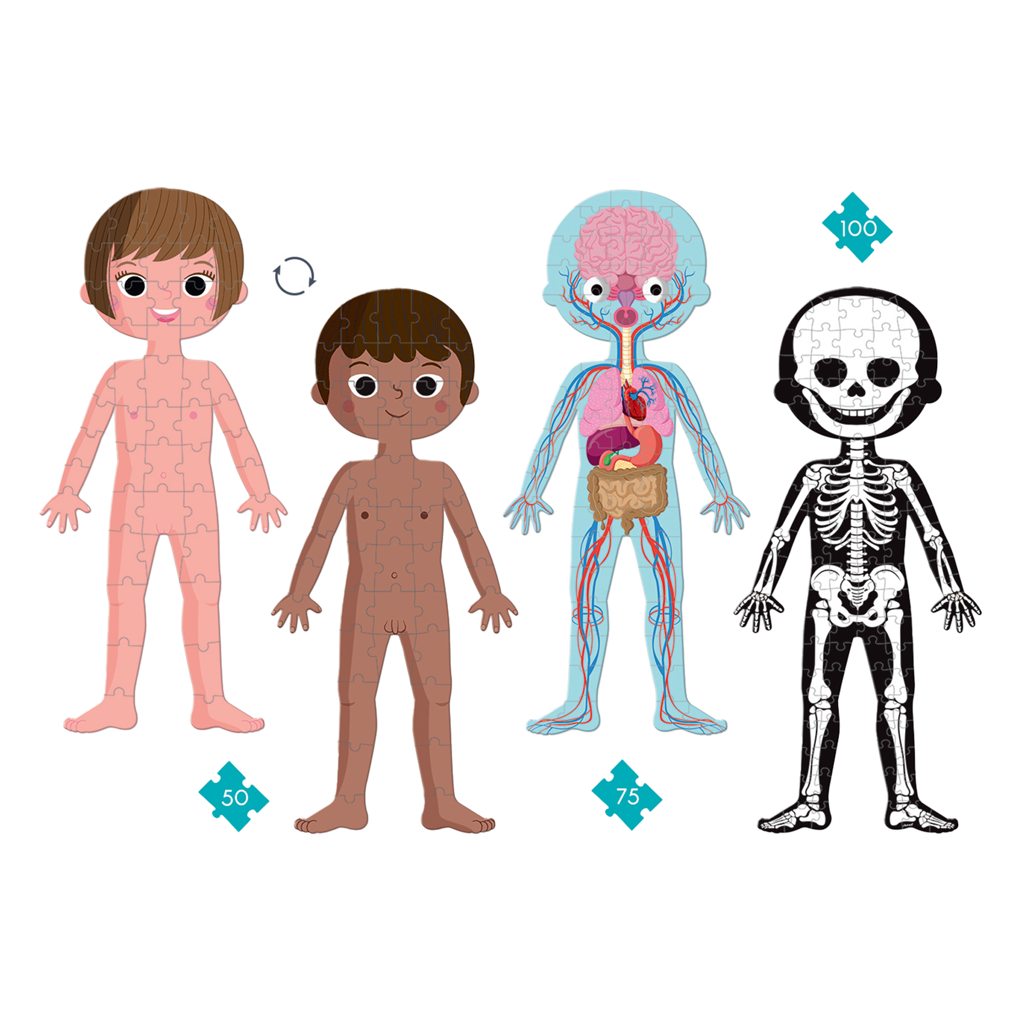 4 EN 1 CASSE-TÊTE ÉDUCATIONNEL - CORPS HUMAIN JANOD PUZZLES