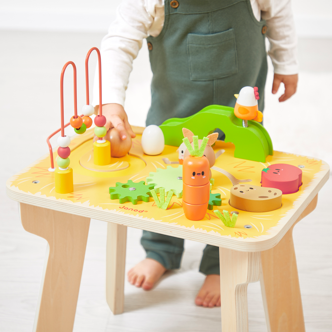 FERME: TABLE D'ACTIVITÉS JANOD
