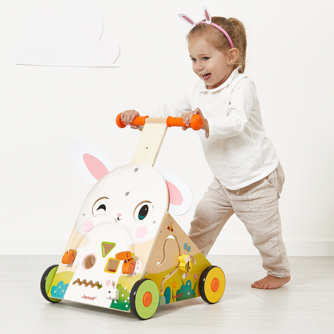 FERME: CHARIOT LAPIN JANOD