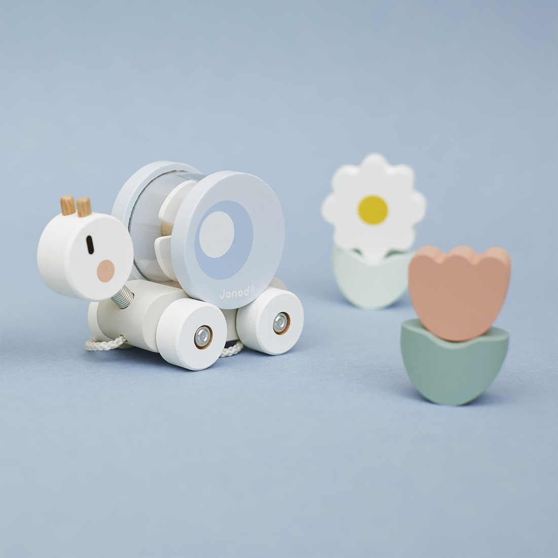 SWEET COCOON: TRAIN ESCARGOT JANOD