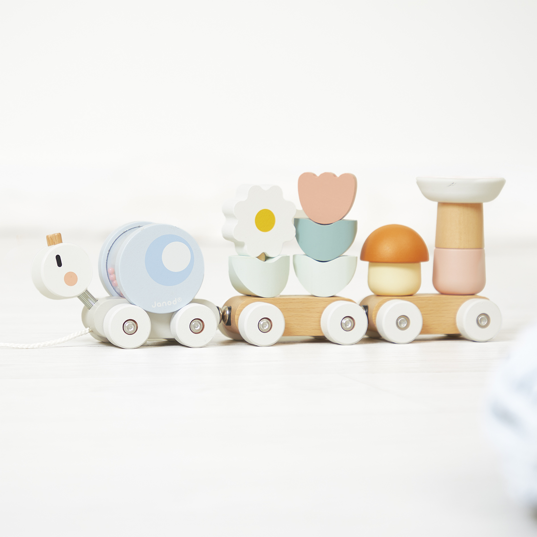 SWEET COCOON: TRAIN ESCARGOT JANOD