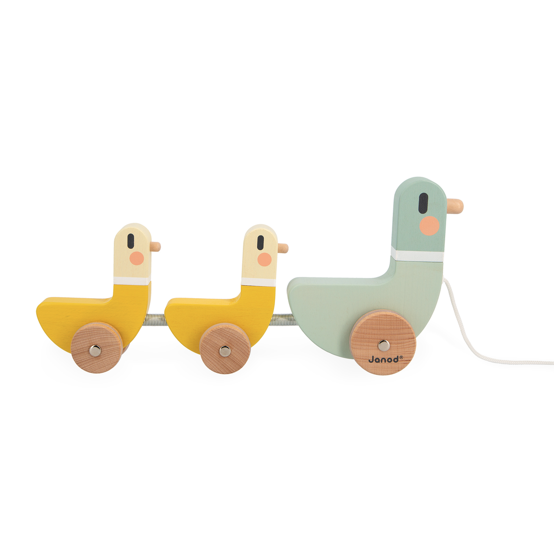 SWEET COCOON: CANARDS À TIRER JANOD