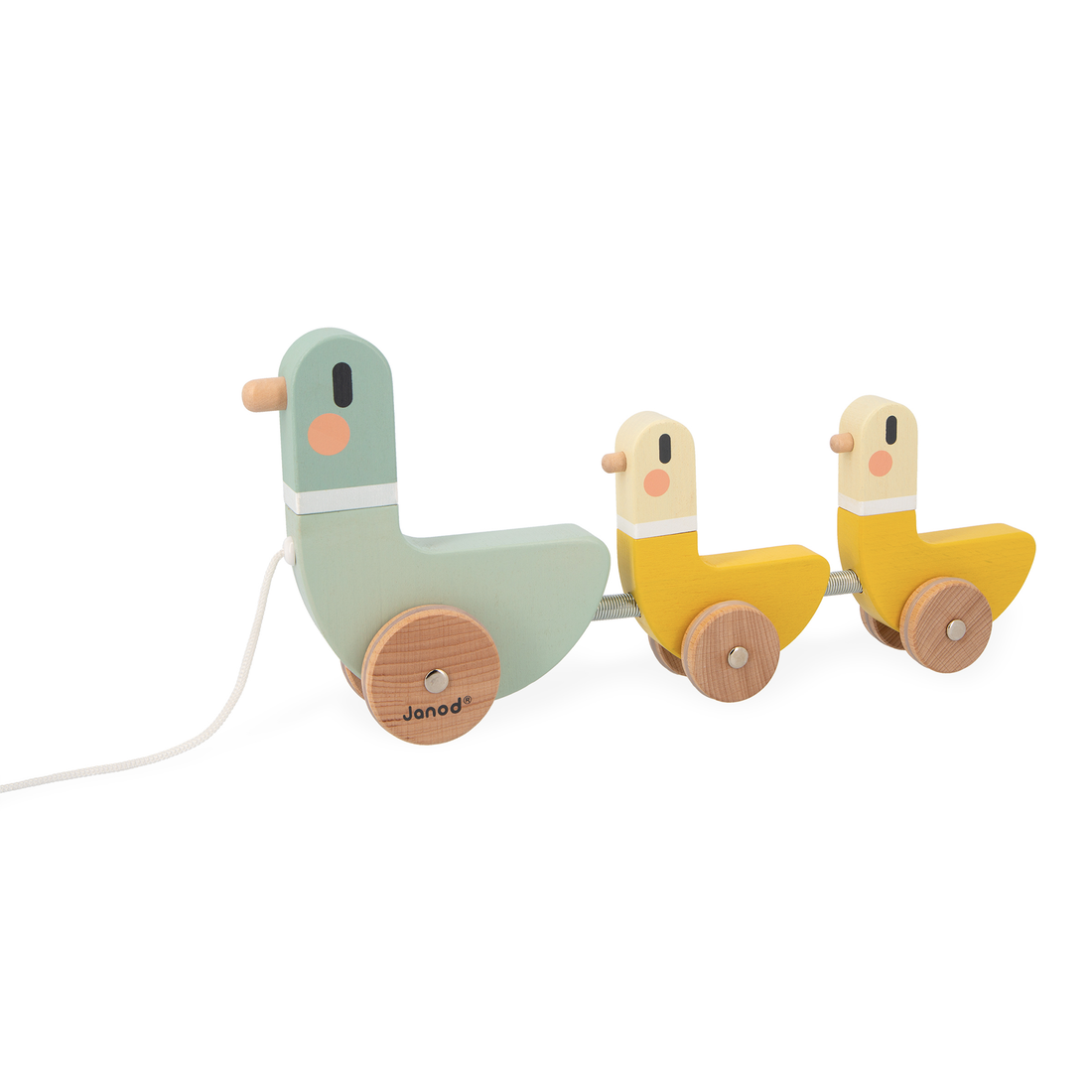 SWEET COCOON: CANARDS À TIRER JANOD
