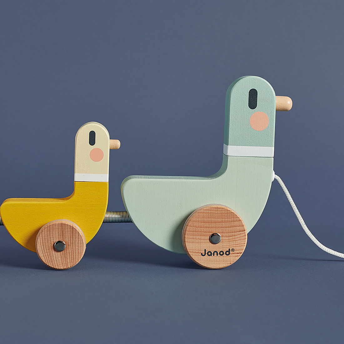 SWEET COCOON: CANARDS À TIRER JANOD