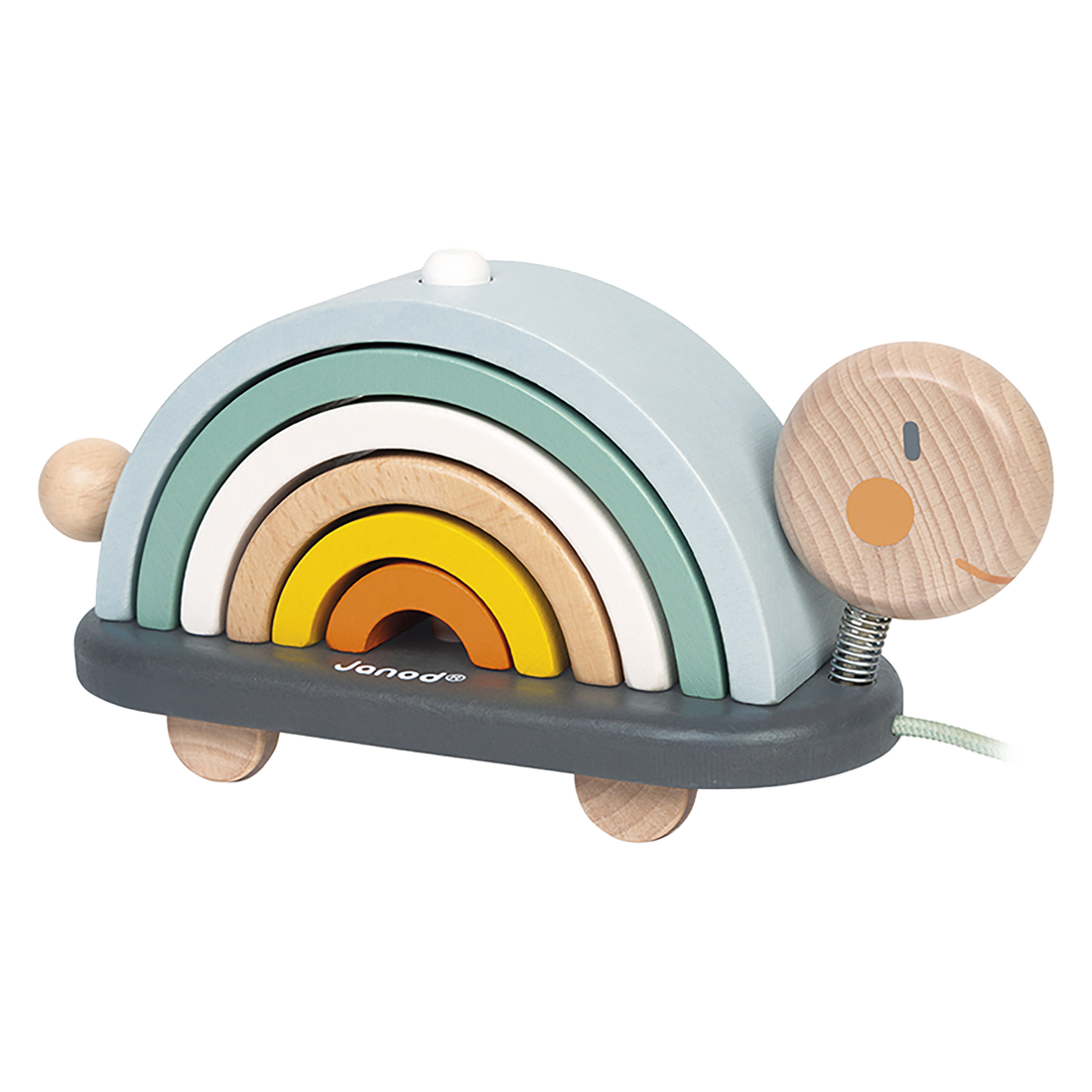 SWEET COCOON - TORTUE ARC-EN-CIEL JANOD