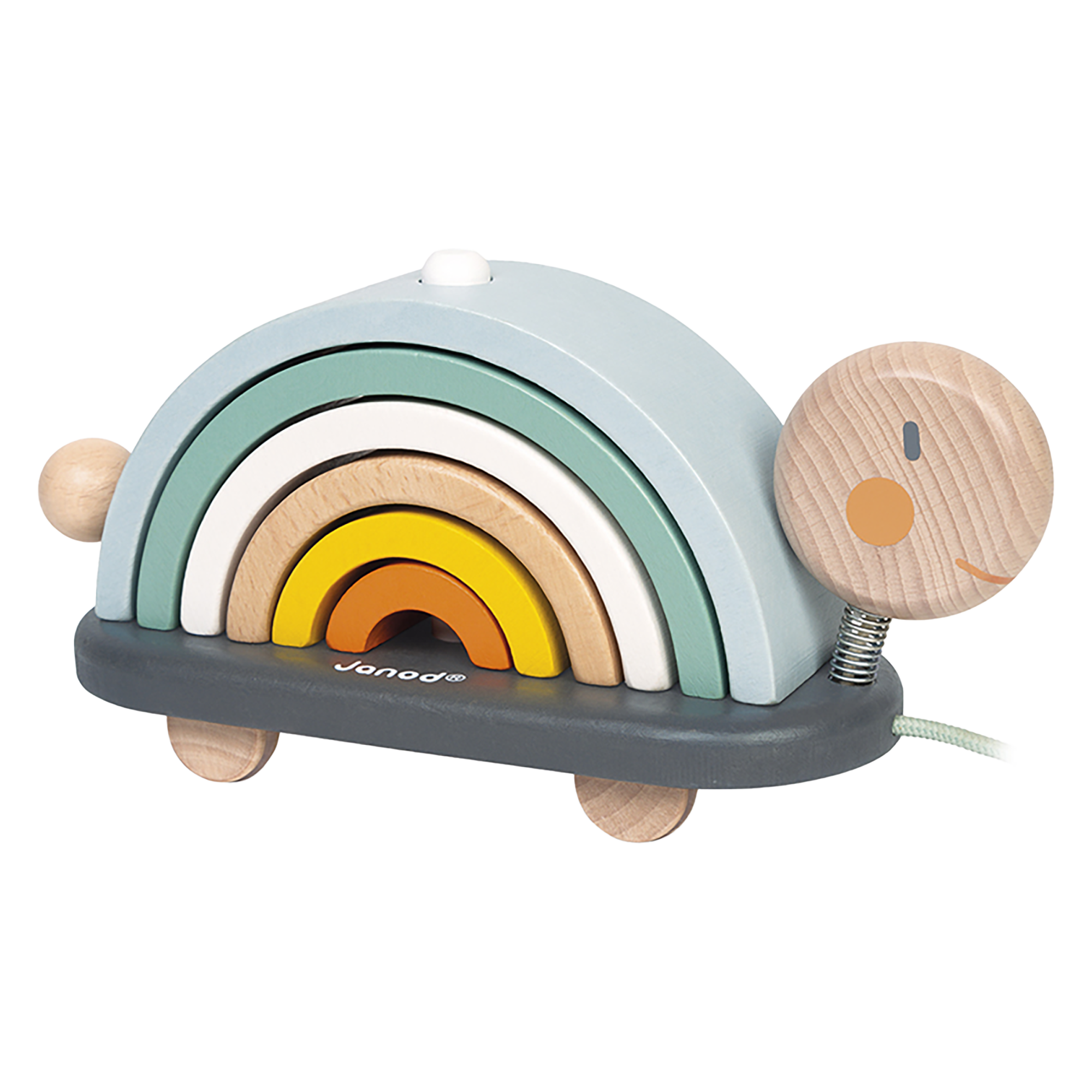 SWEET COCOON - TORTUE ARC-EN-CIEL JANOD