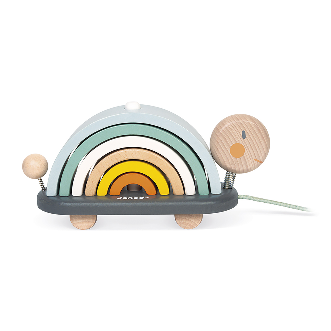 SWEET COCOON - TORTUE ARC-EN-CIEL JANOD